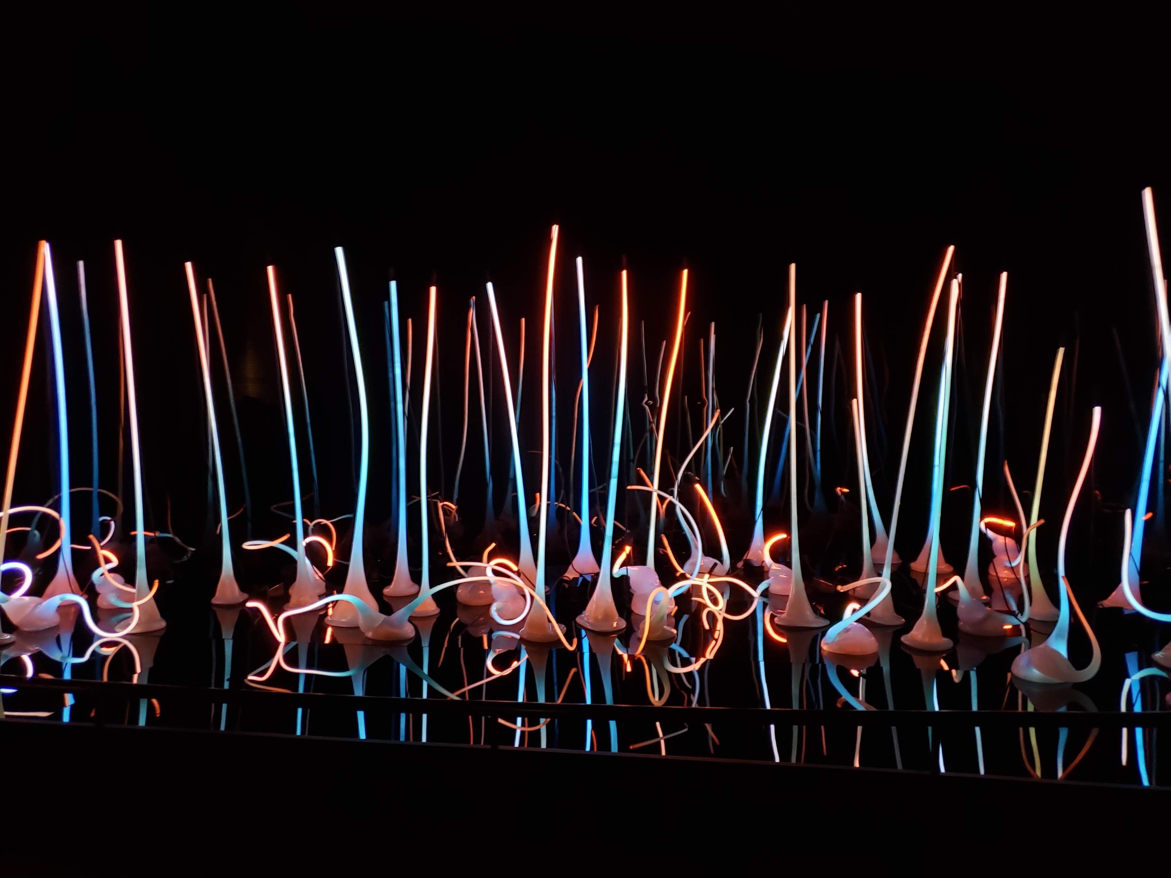 Chihuly glass night garden